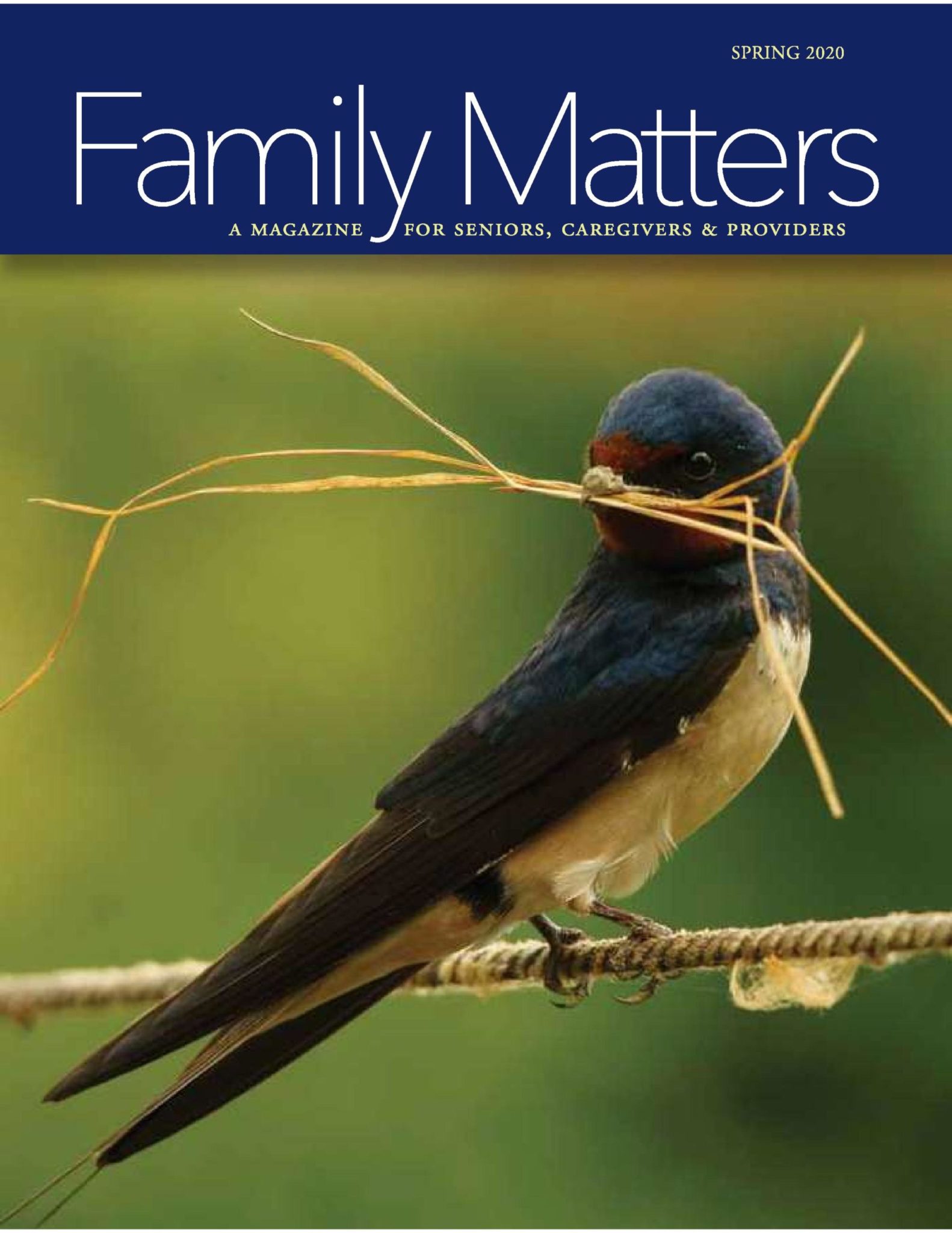 Family Matters, Spring 2020 Magazine