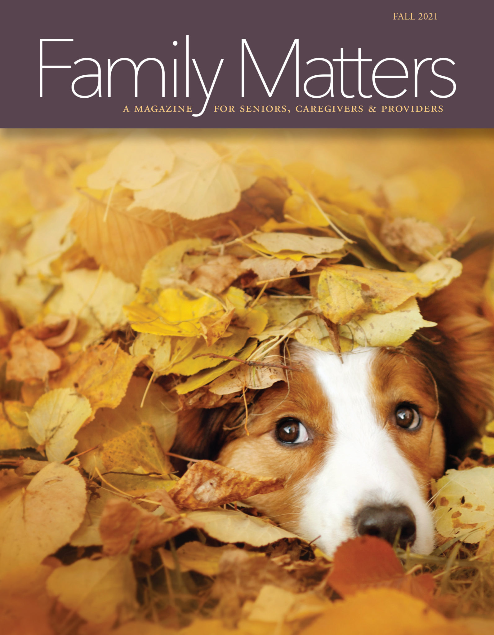 Family Matters, Fall 2021 Magazine