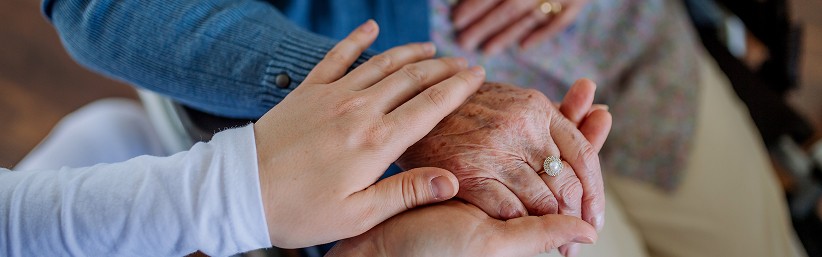 Companionship Services