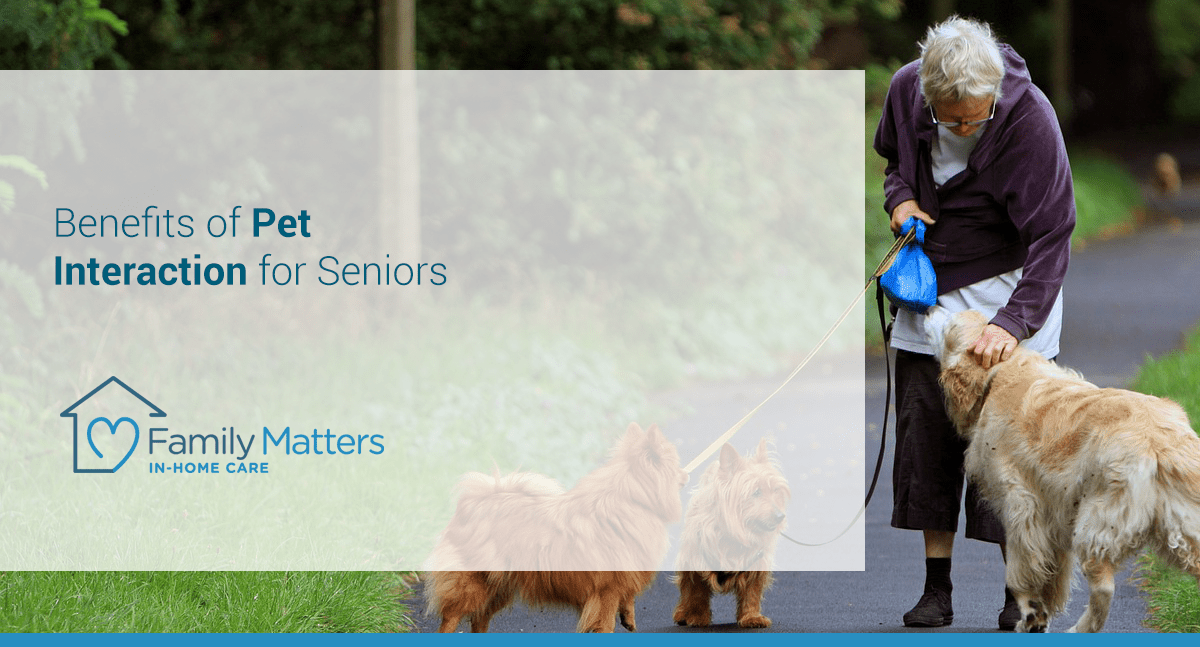 Benefits Of Pet Interaction For Seniors