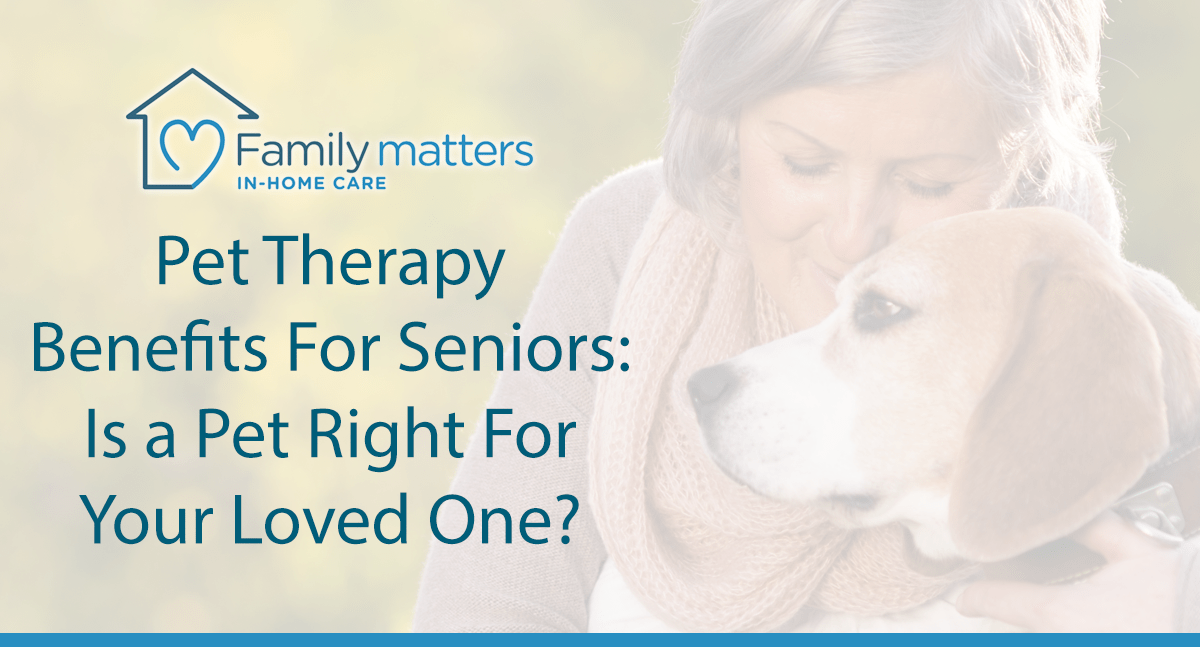 Pet Therapy Benefits For Seniors