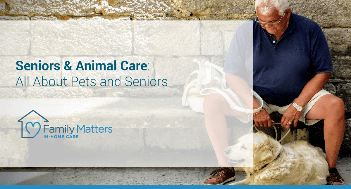 Seniors & Animal Care: All About Pets And Seniors