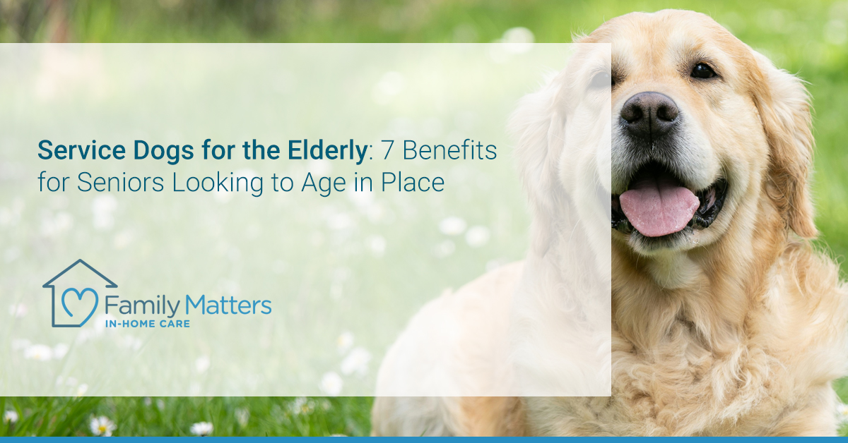 Service Dogs For The Elderly: 7 Benefits For Seniors Looking To Age In Place